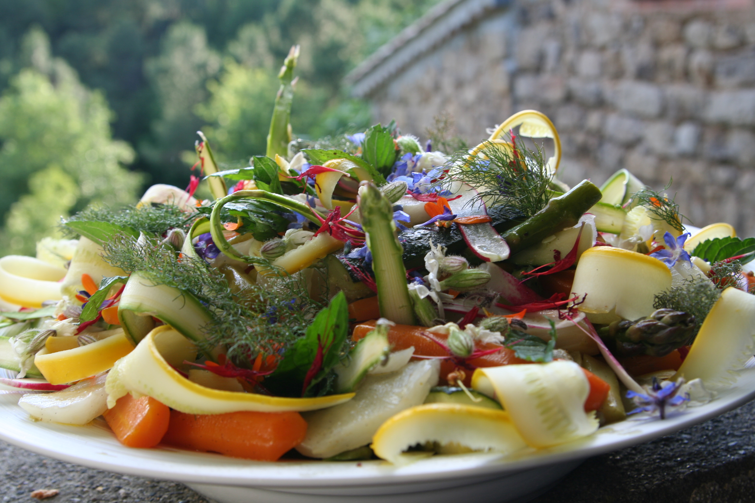 Barrigoule de printemps