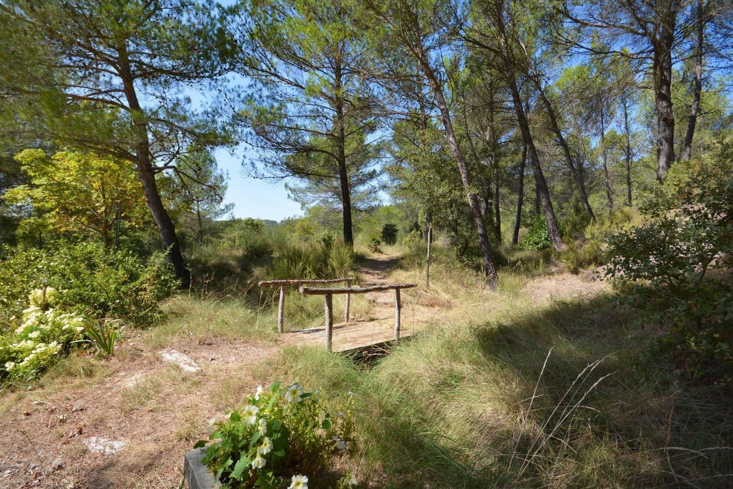 Hémérocalles, Vauvenargues - photo 7