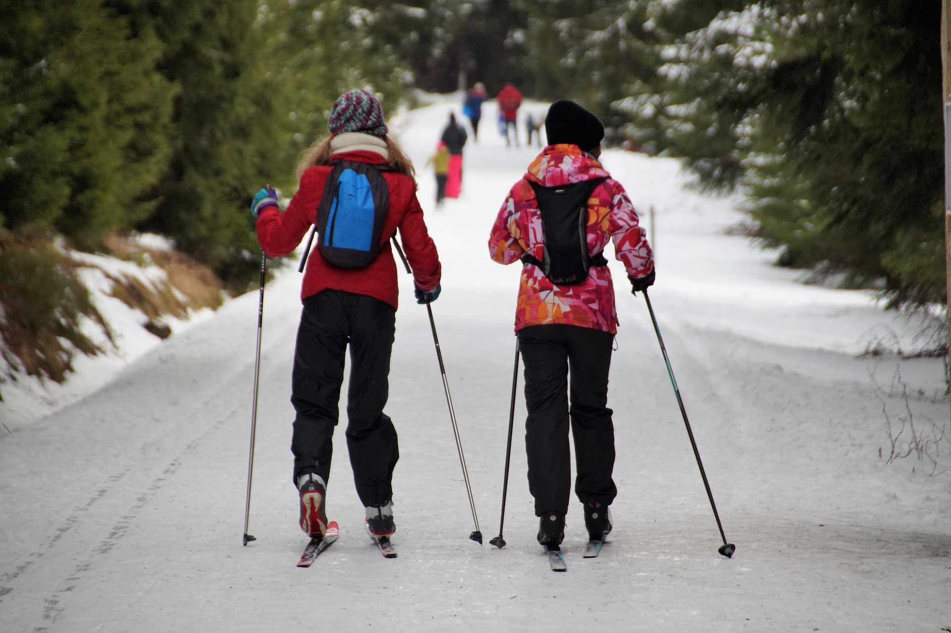 Parcours ski nordique famille patente_Presles