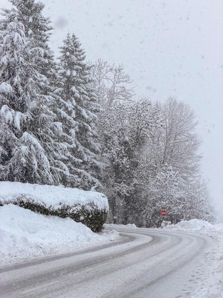 Navette inter-station_Thollon-les-Mémises