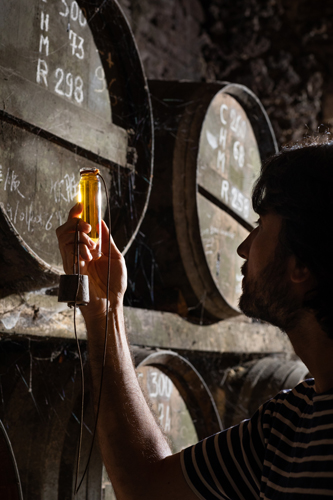 Bourgoin Cognac - Les secrets du vrai cognac de vigneron