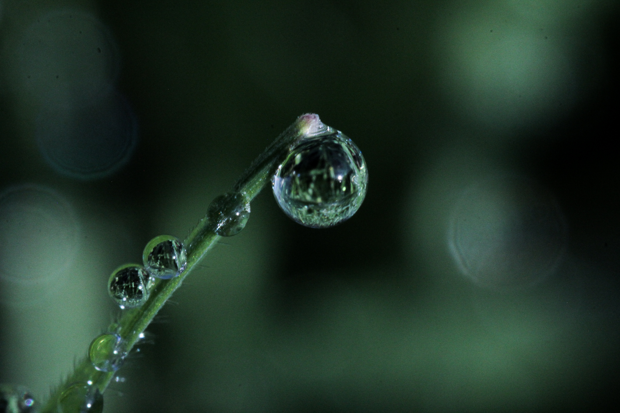 Atelier scientifique