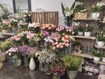 Plaisir Fleuri - Villeneuve-Loubet