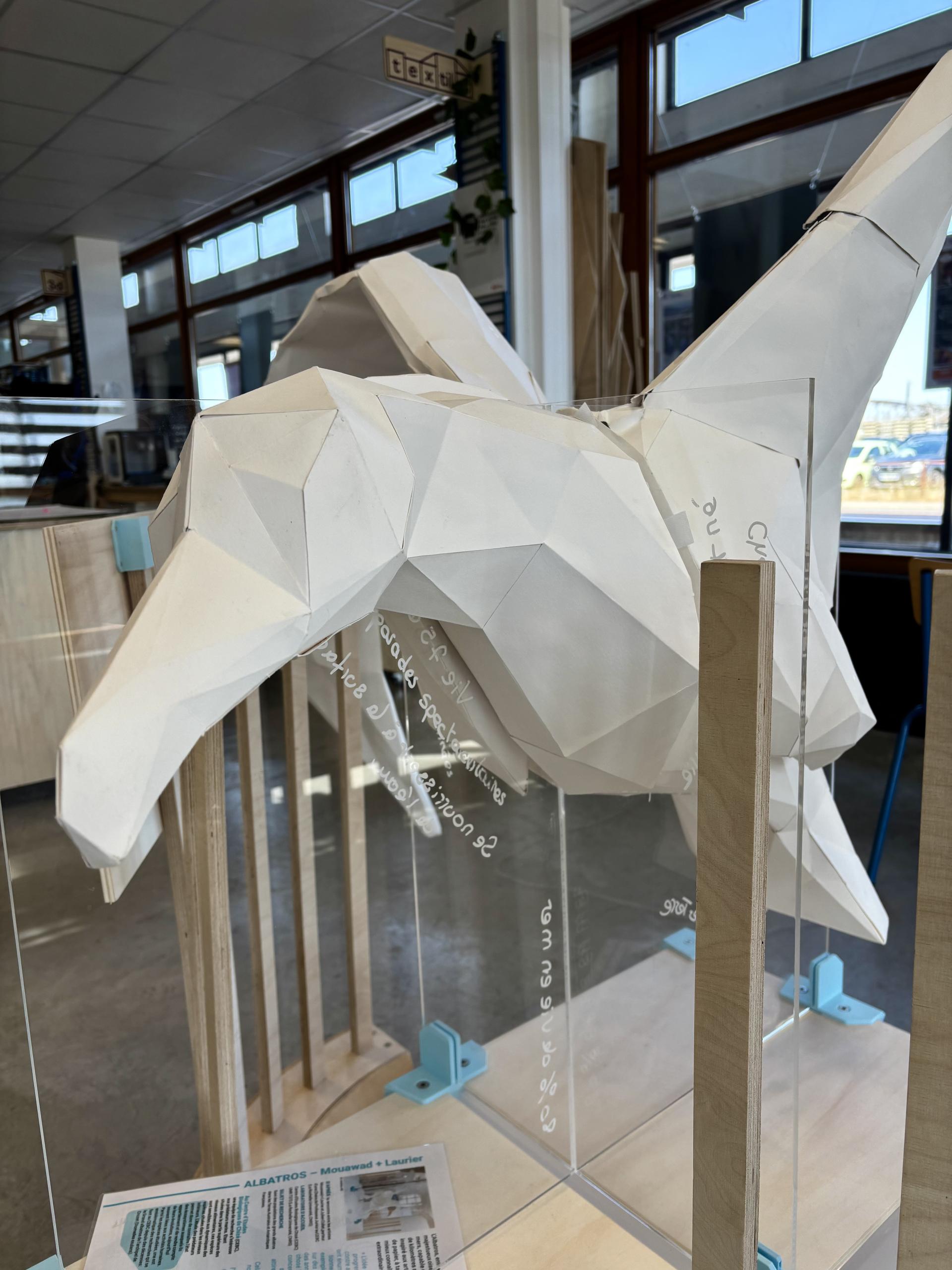 Animation - Petit albatros de papier