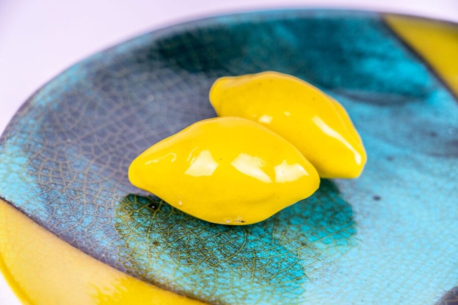 assiette Muriel Lacaze La tour d'Aigues