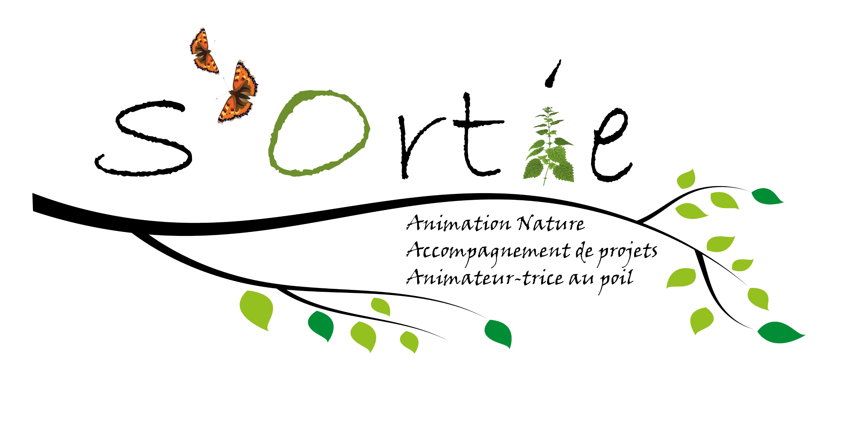 A la découverte des arbres