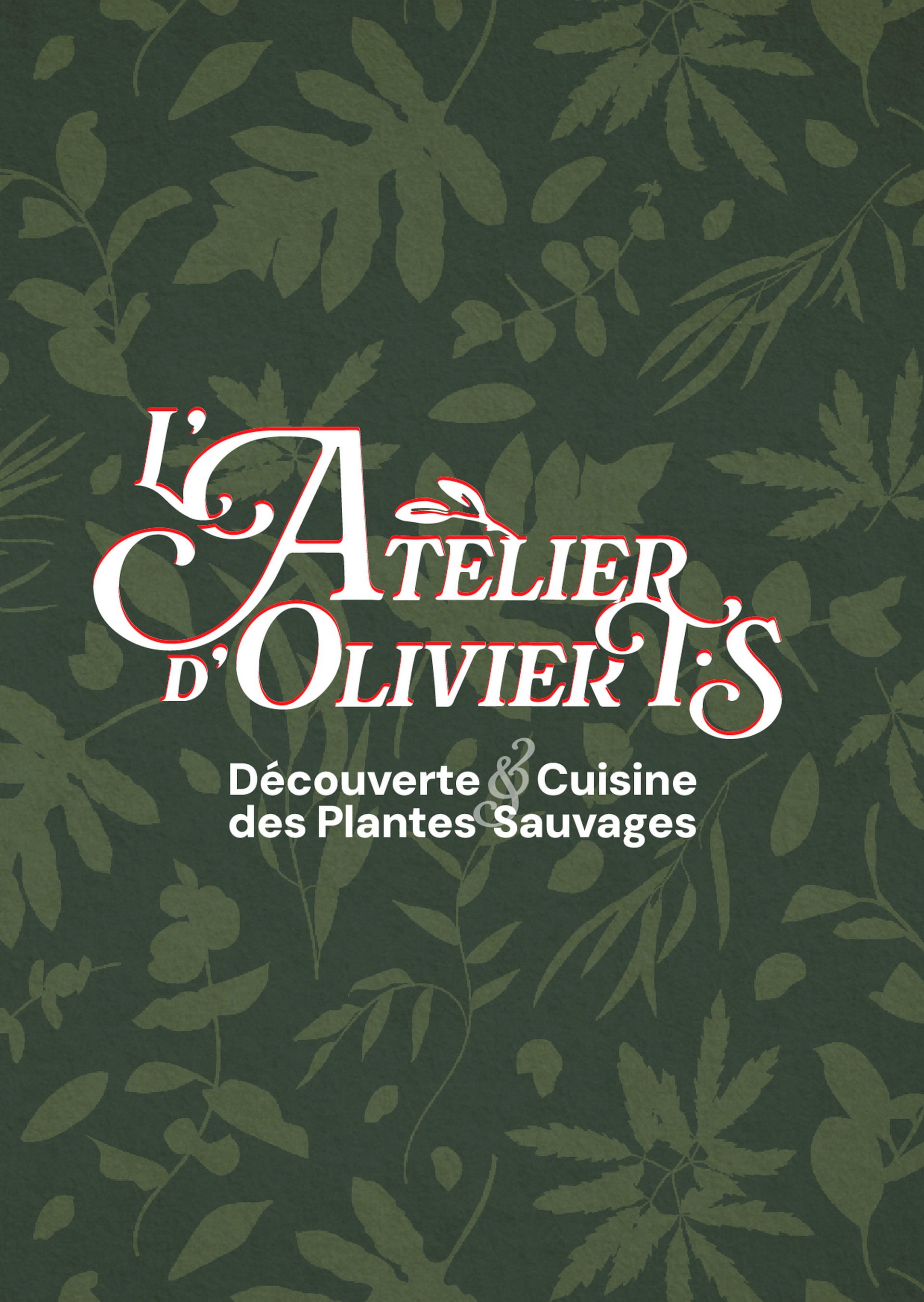 l'Atelier d'Olivier TS - Découverte plantes sauvages, Fontvieille - photo 3