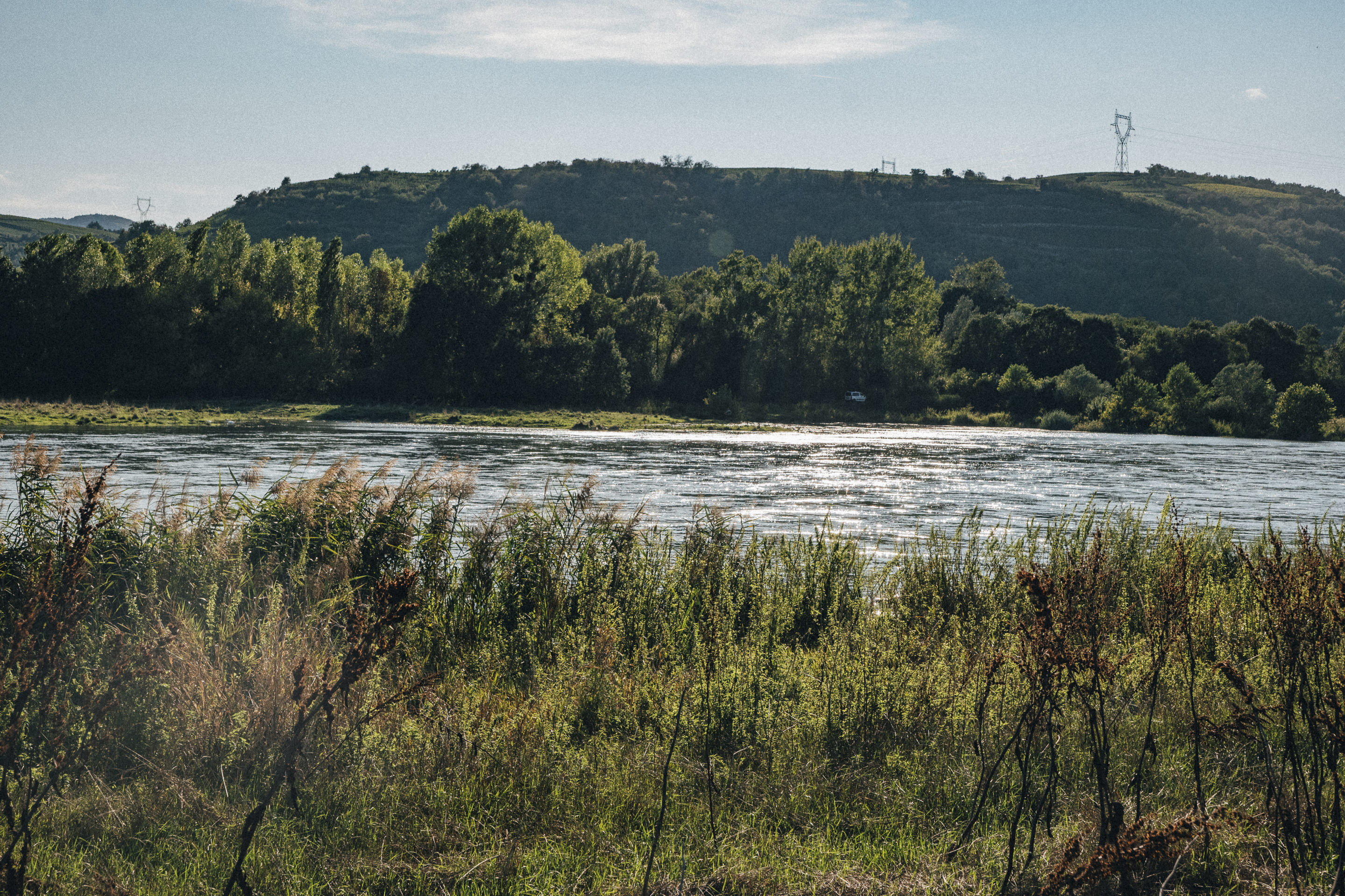 Réserve naturelle de l'Ile de la Platière_Le Péage-de-Roussillon