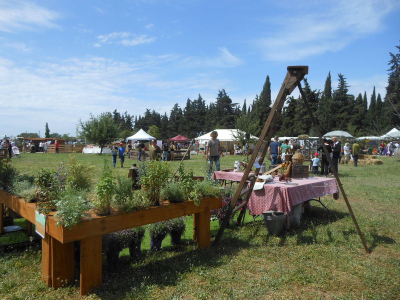 Nature en fête à La Londe les Maures