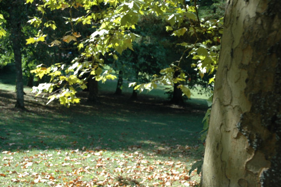 Parc du Clos Claret - OTSI Morestel