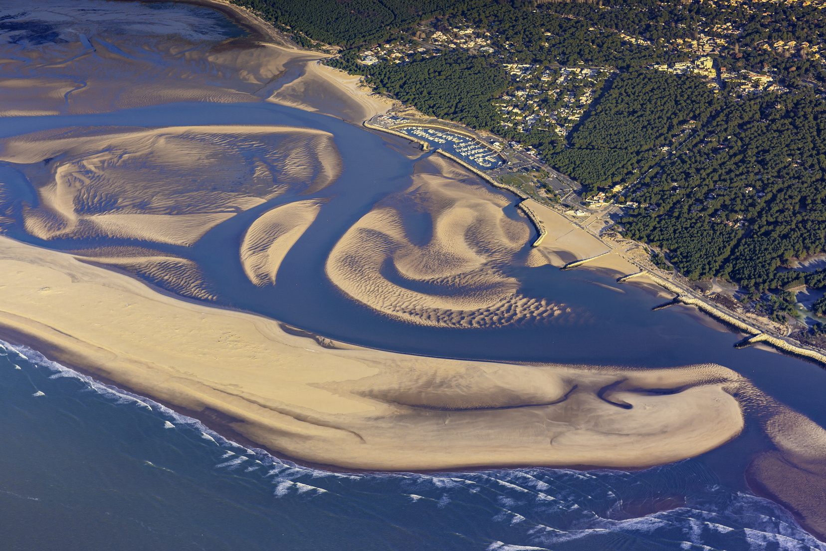 Approche sensorielle de la biodiversité de la Baie de Bonne Anse