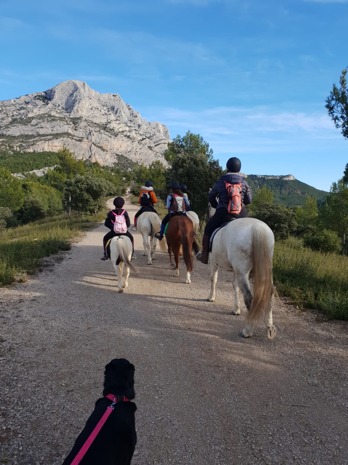 FINCA SANTA VICTORIA