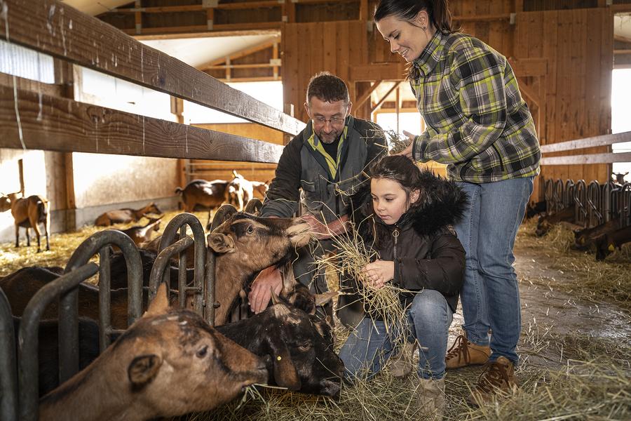 Chèvrerie de Vesonne