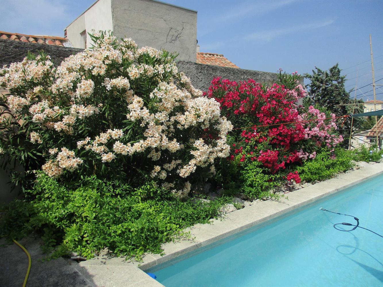 La Villa Laure, Marseille 7e Arrondissement - photo 2