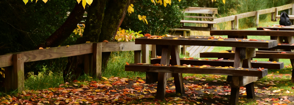 Aire de pique-nique du Giffre_Samoëns