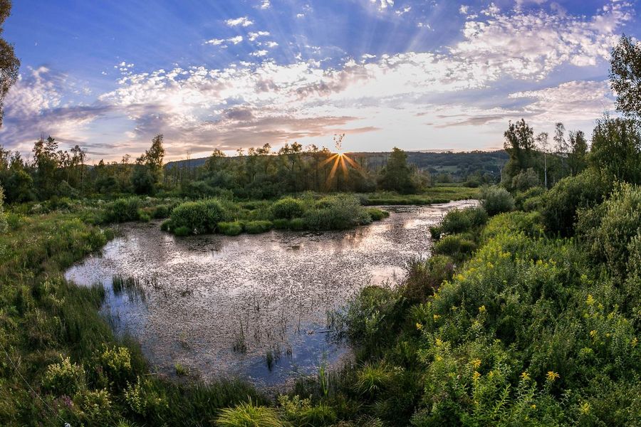 ENS Tourbière de l'Hérretang