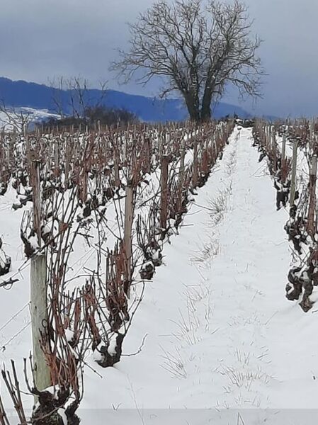 Domaine de la Mantellière