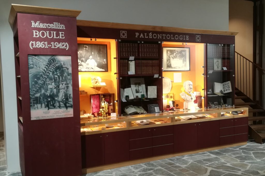 Cabinet de curiosités Marcellin Boule
