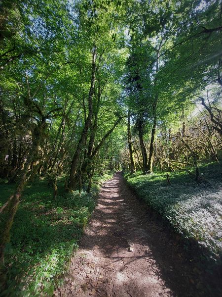 Circuit VTT 5 : Lac d'Armaille