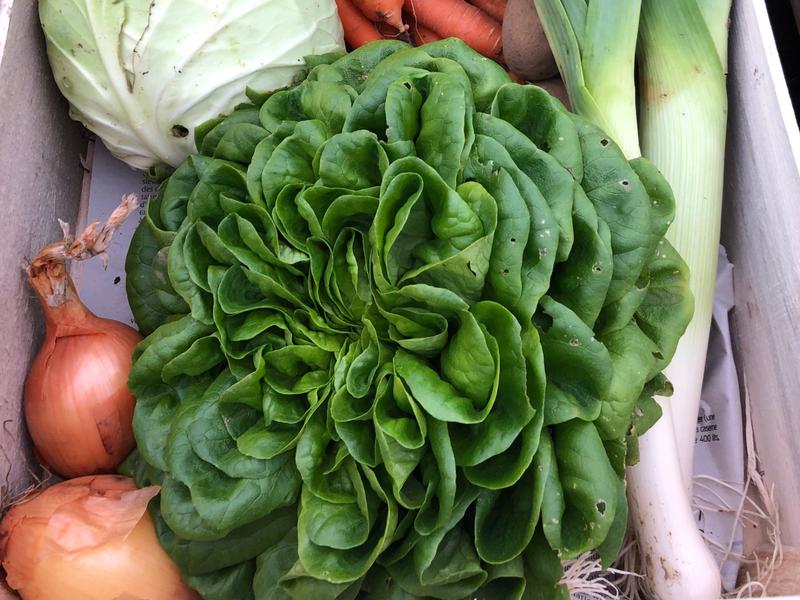 Panier de légumes