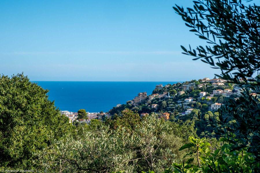 Gîte Chez Tante Jeanne-Vue depuis le gîte-Nice-Gîtes de France des Alpes-Maritimes