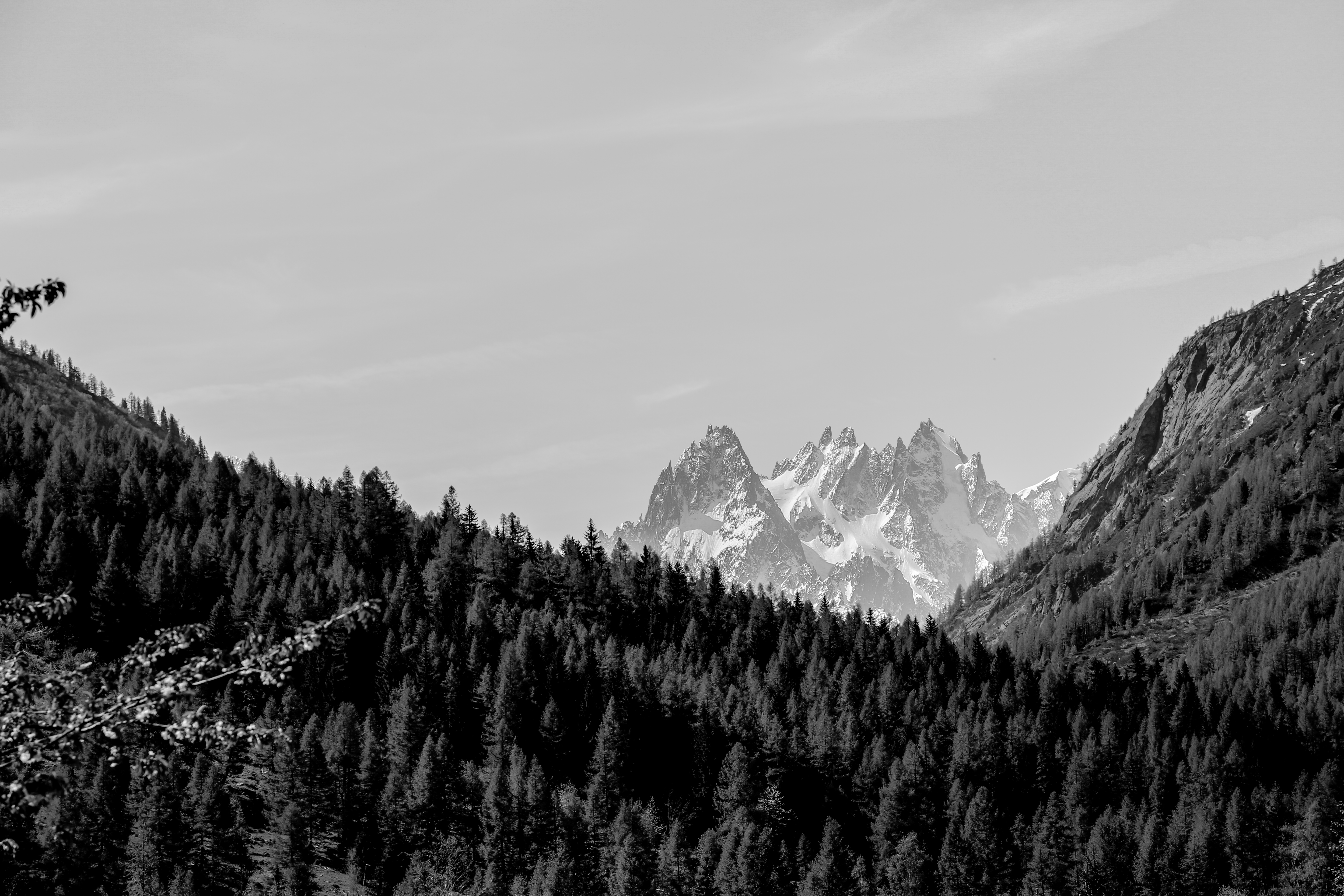 OT Vallée de Chamonix - Salomé ABRIAL-7840