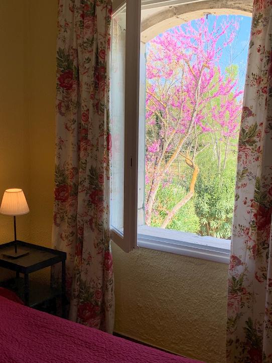 Le Jardin, Arles - photo 23