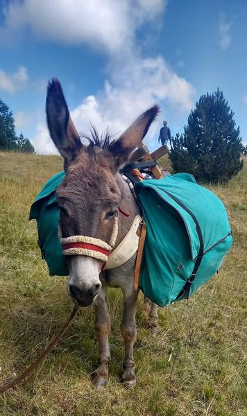 Balades au Pas de L'Ane : Journées et Bivouacs sans voiture_Saint-Martin-de-Clelles