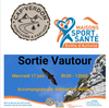 Sortie vautours_Castellane