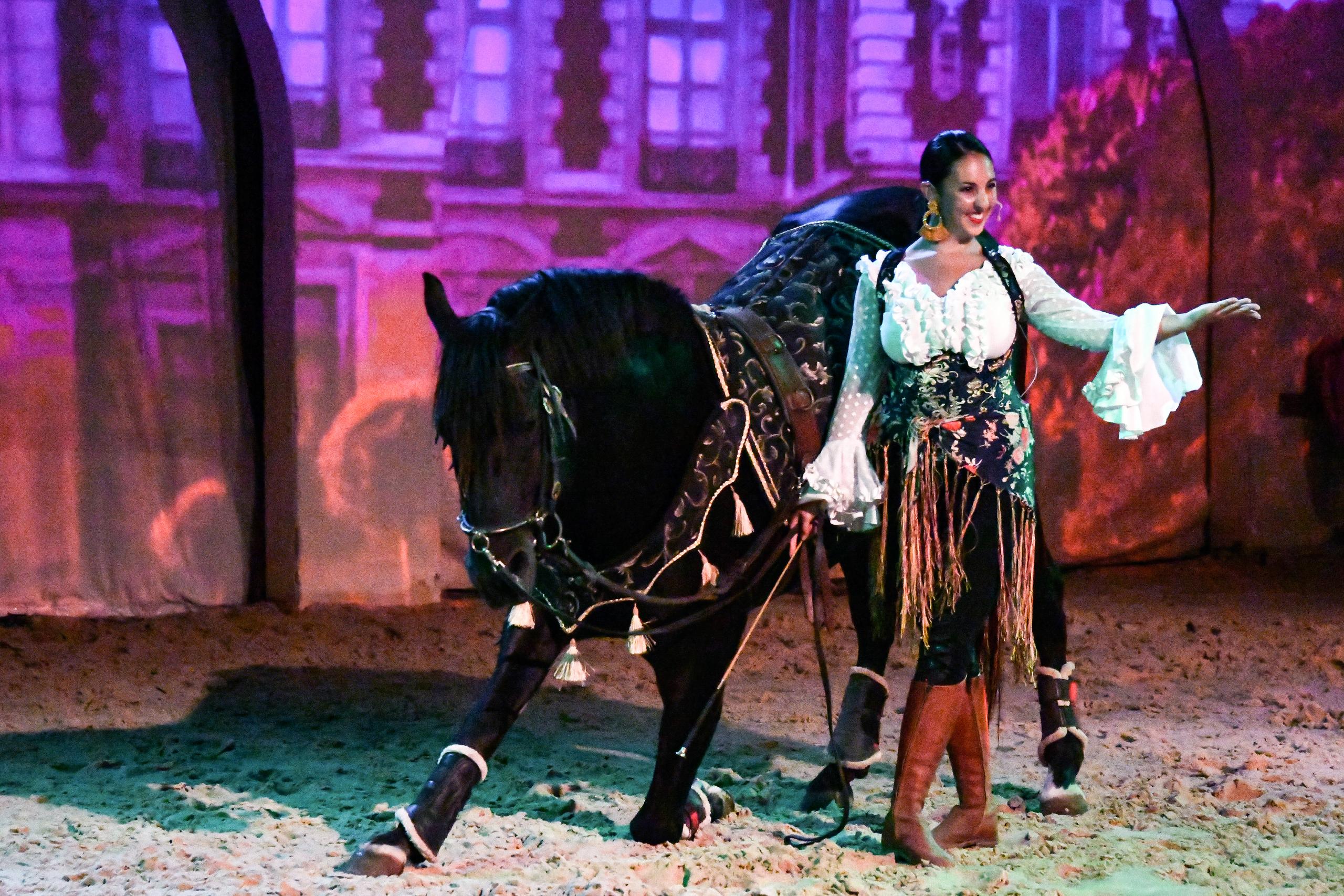 Repas Spectacle Equestre & Flamenco 