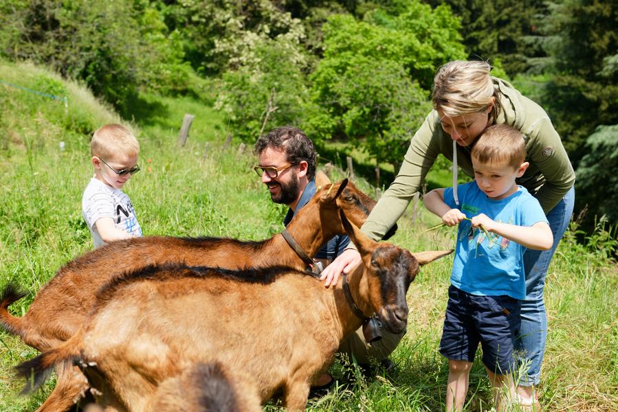 Visite de la chèvrerie Bouchet-Ravaux_Jaunac
