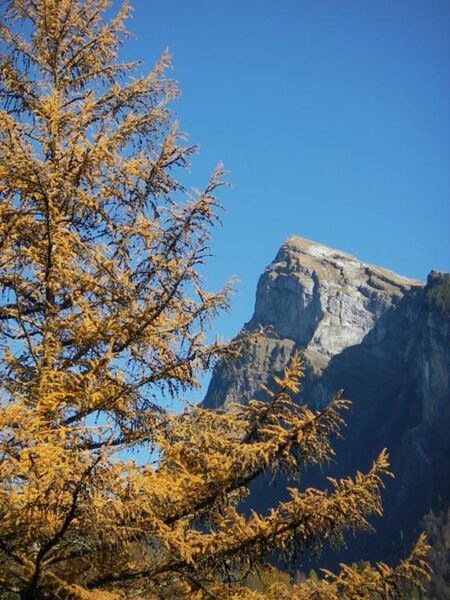 Le Criou - Aouille du Criou