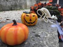 Halloween au musée_Grenoble