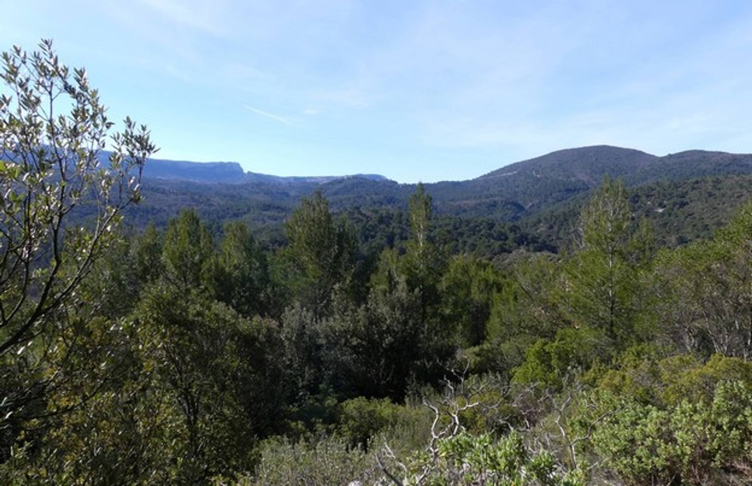 SAINT-ZACHARIE - La forêt du Défens par le pas de Peyruis, Saint-Zacharie - photo 3