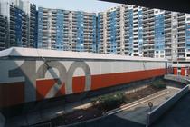 arlequin_jep-2.jpg