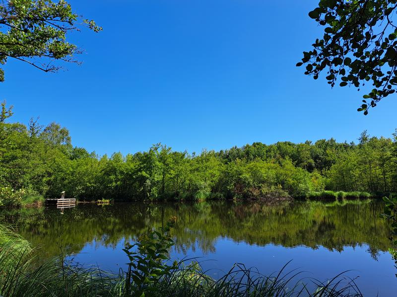 Espace naturel sensible Espace naturel sensible
