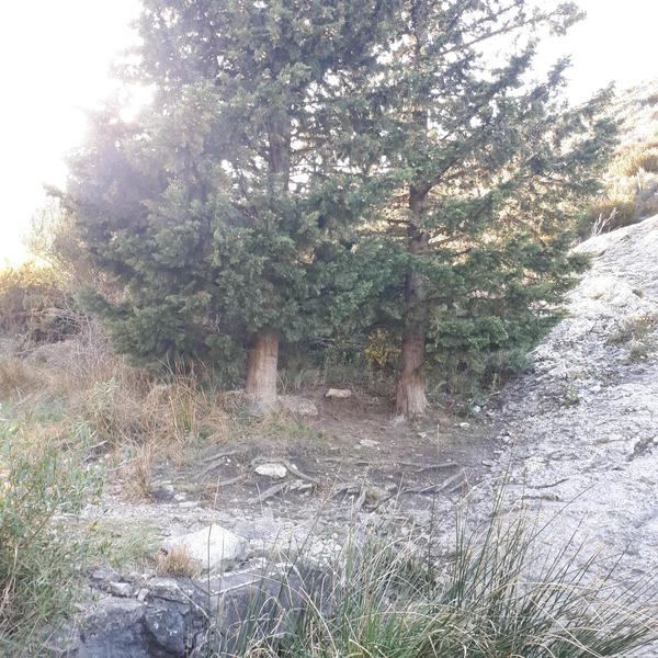 Source des eaux vives