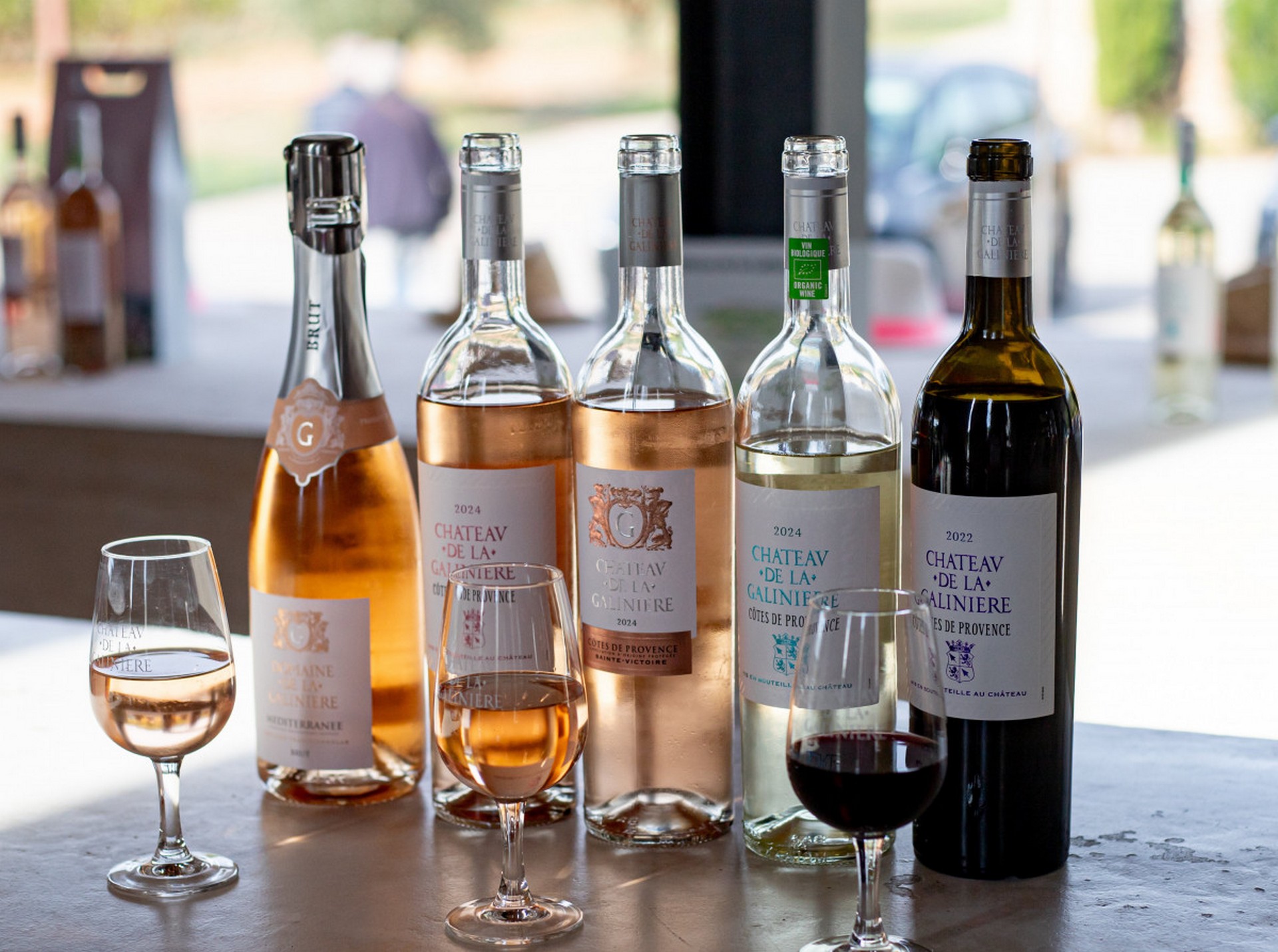 Château de la Galinière - Vineyards and wine immersion