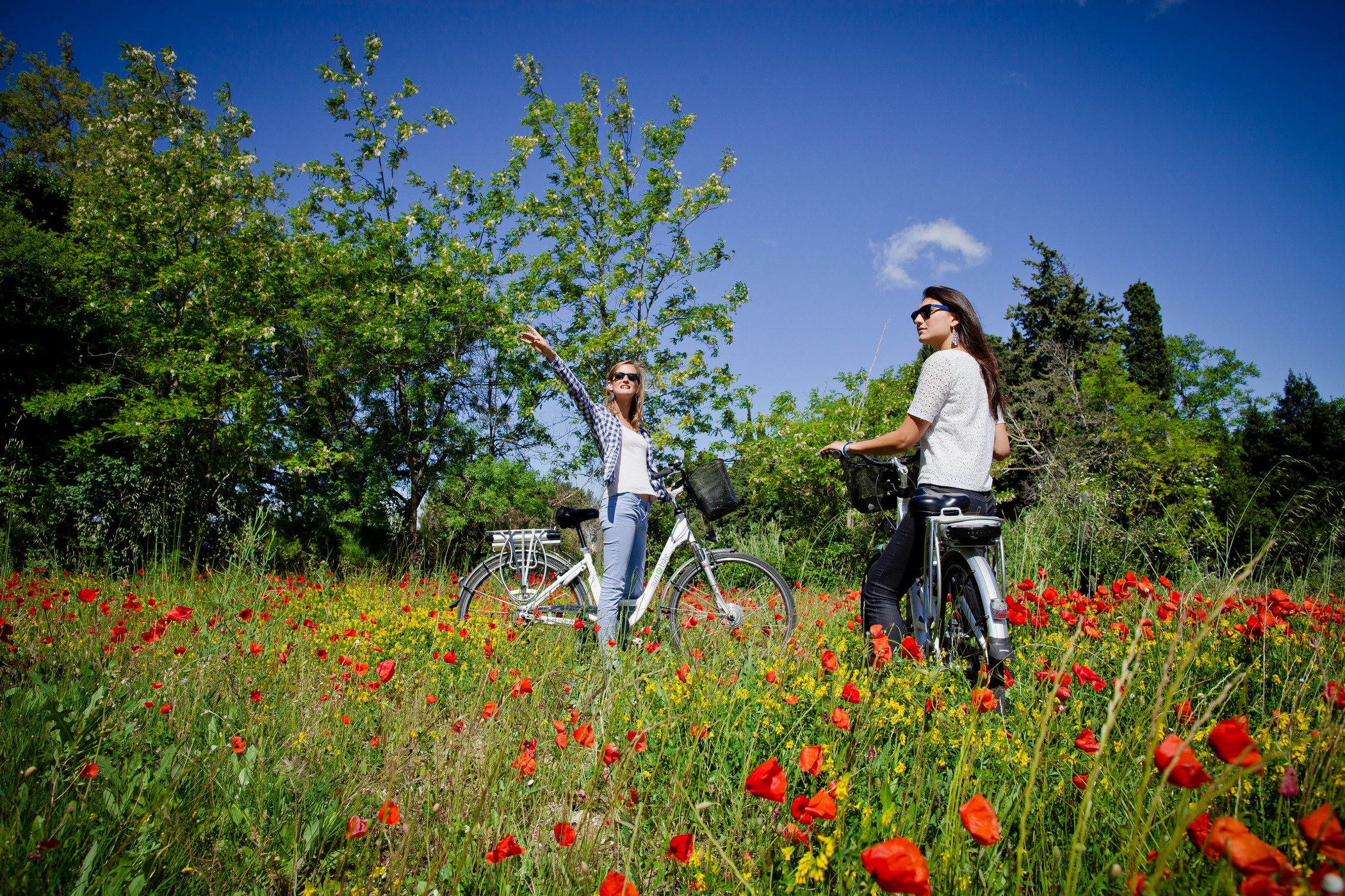 Sun E-bike : Location Vélos et VAE à Saint-Rémy-de-Provence