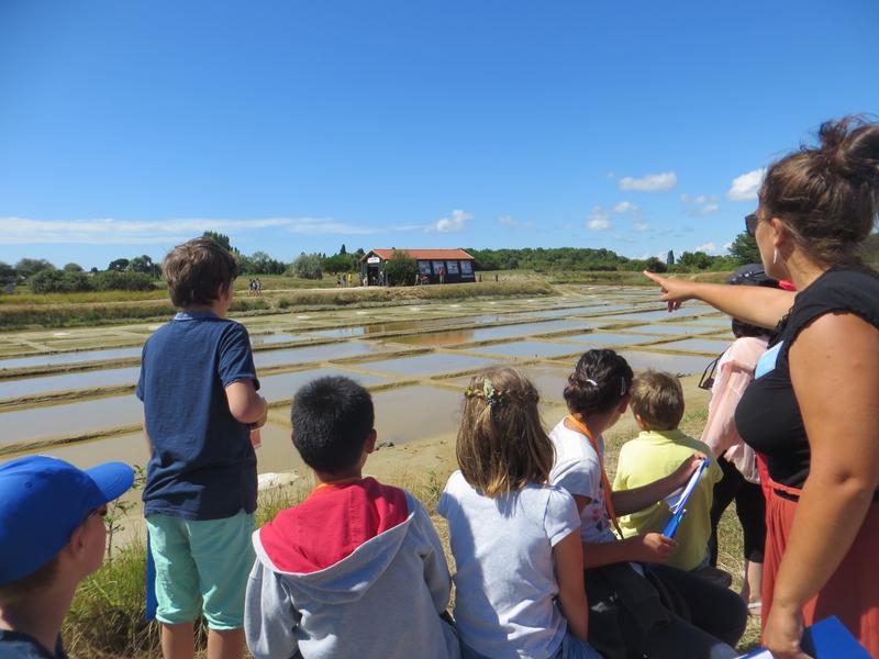 Atelier 7-12 ans Enquête au Port des Salines