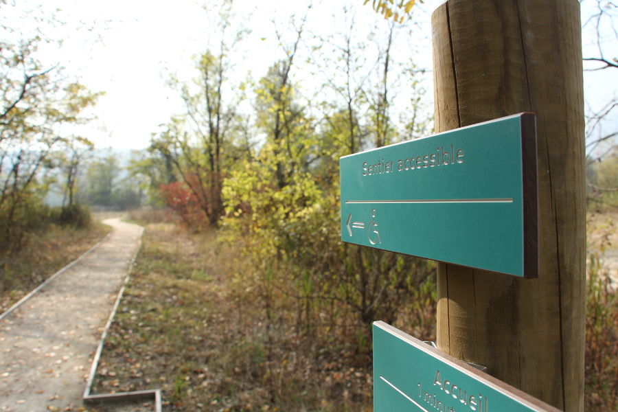 Sentier accessible tous handicaps, marais de l'Etournel