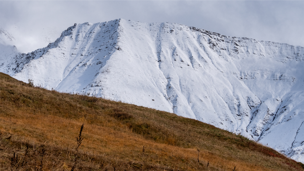 Exposition "Contraste" : photographies et aquarelles de Théophile Freund
