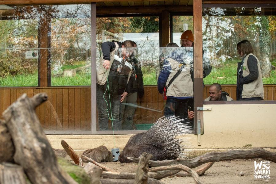 Animation VIP - Soigneur d'un jour_Peaugres