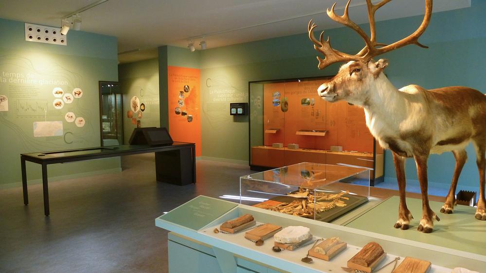 visite guidée Préhistoire été