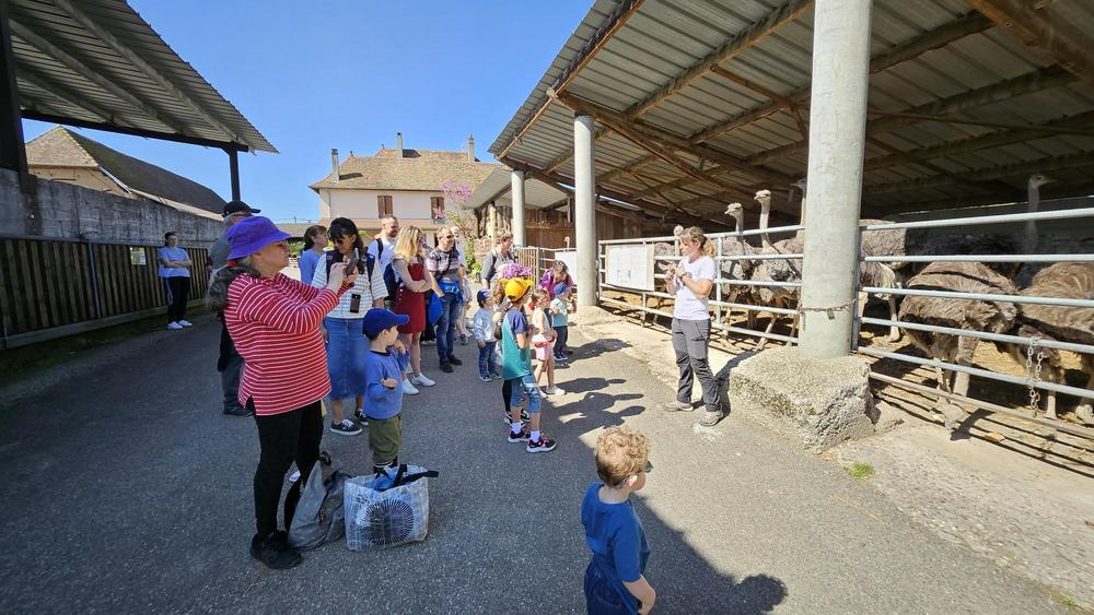 Visite de la ferme pédagogique du Père Louis_Vézeronce-Curtin