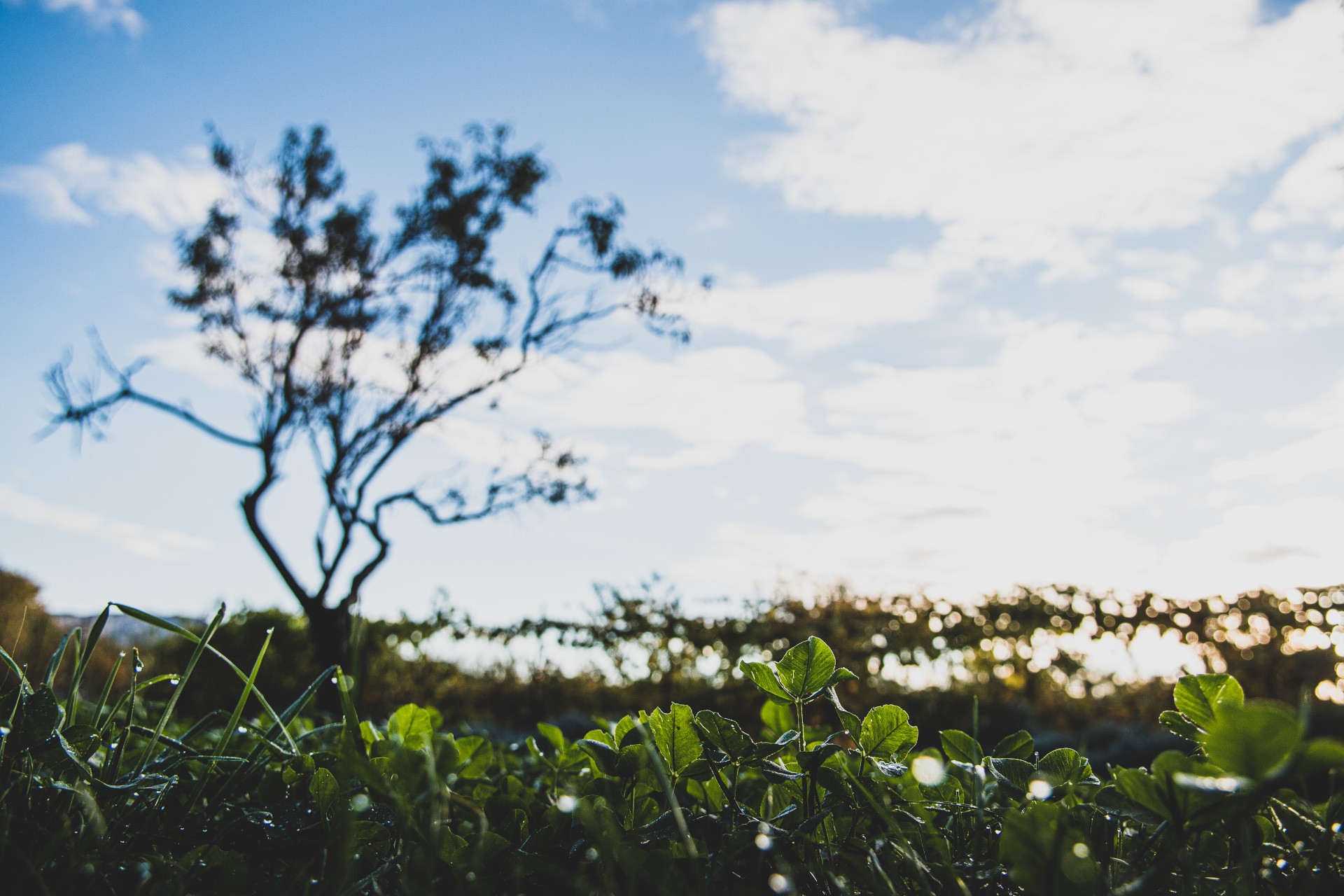 Parc de la Jarre, Marseille 9e Arrondissement - photo 3