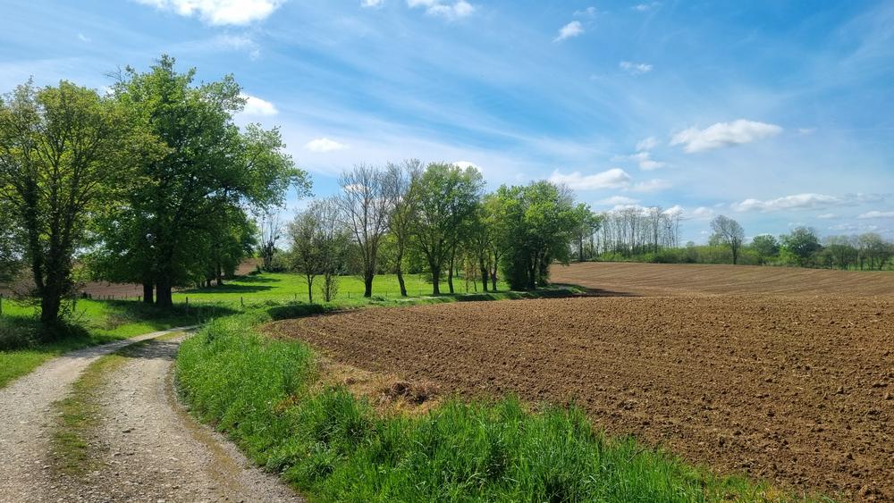 Circuit VTT-VTC n°25 (rouge) Comté de Montrevel - Domaine du Sougey_Montrevel-en-Bresse