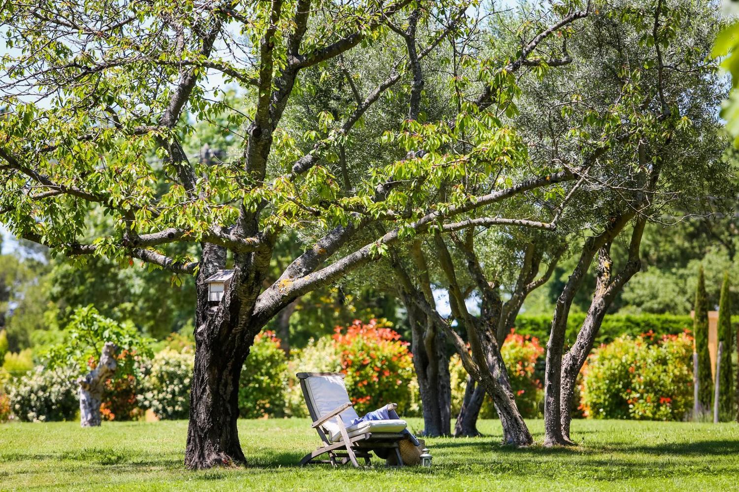 Cottage Zola, Aix-en-Provence - photo 3