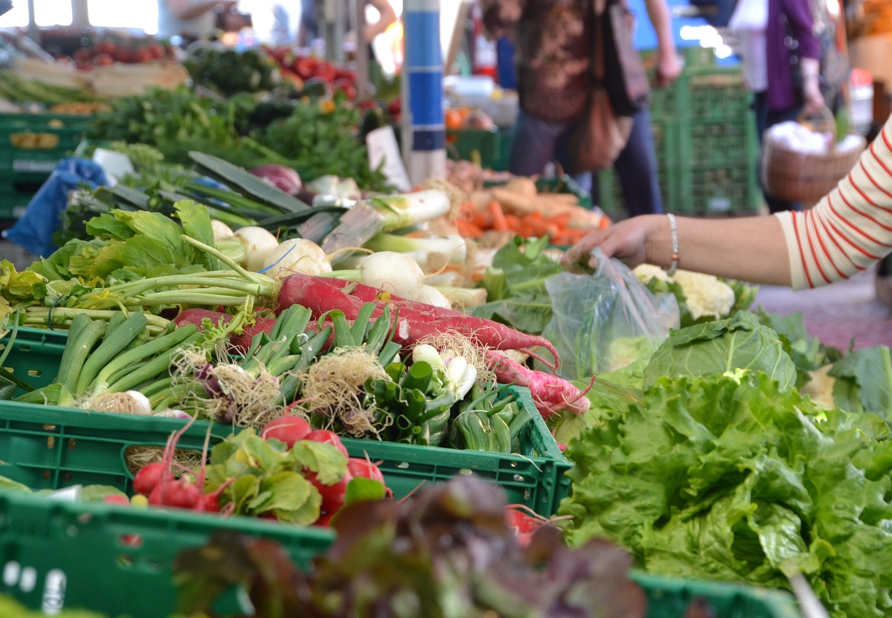 Visite et dégustation au marché de Vienne_Vienne
