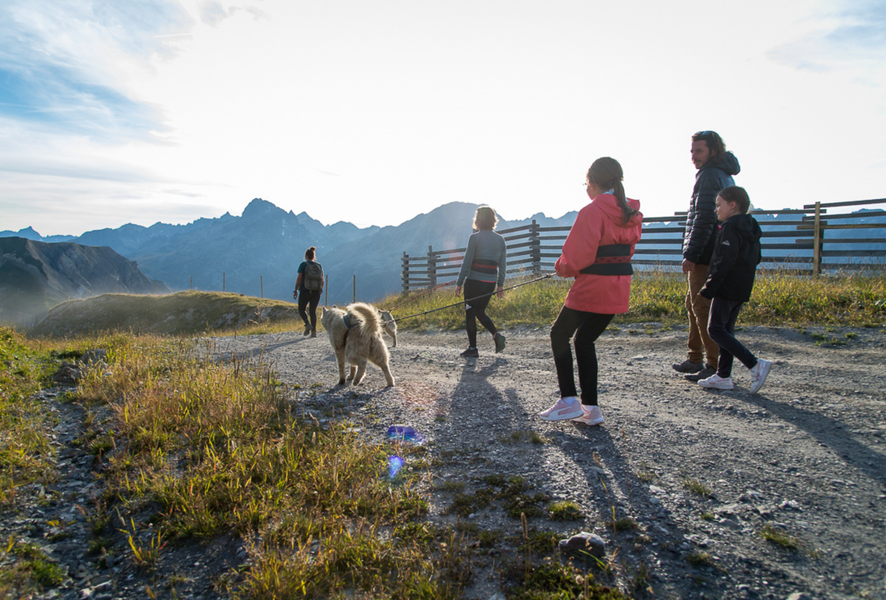 Cani-rando nocturne avec repas chez Bib_La Toussuire